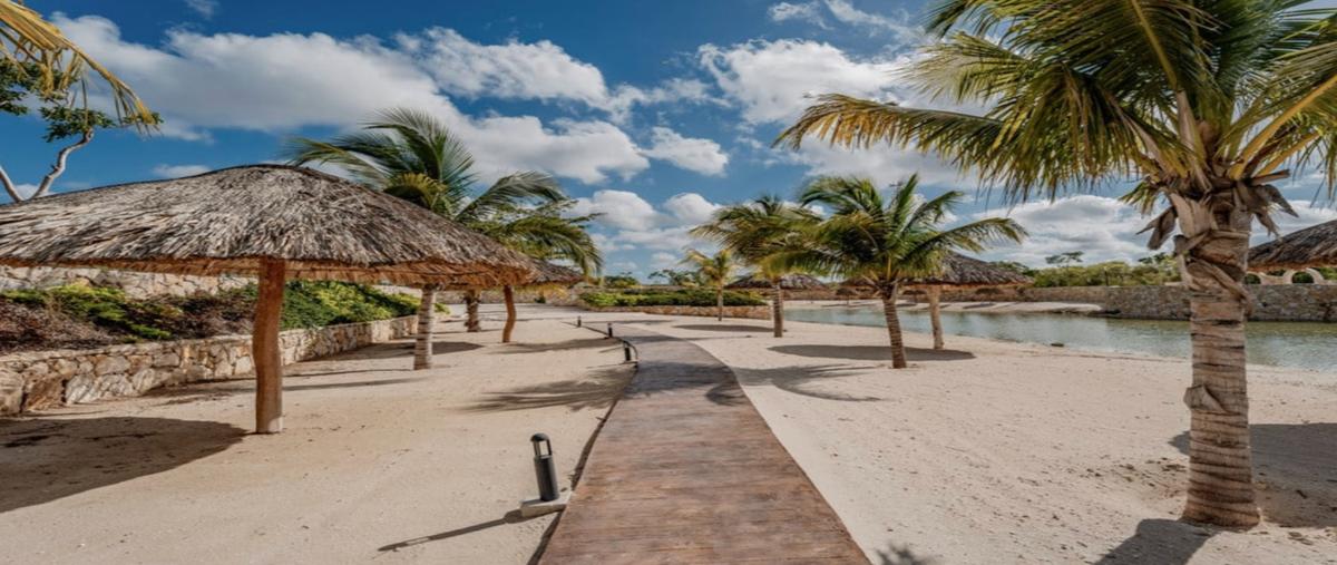 Foto de terreno habitacional en venta en  , centro hunucmá, hunucmá, yucatán, 0 No. 03