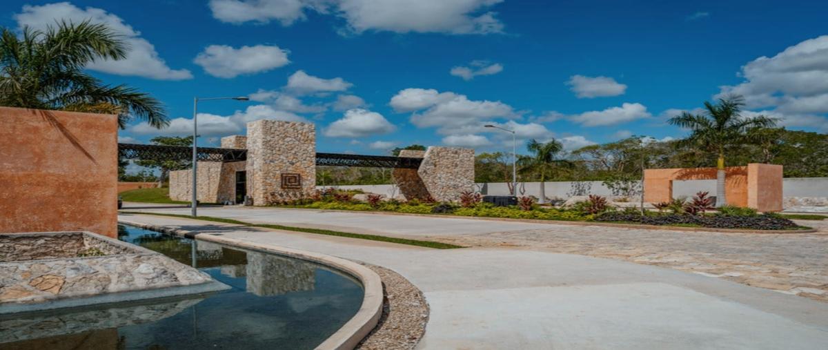 Foto de terreno habitacional en venta en  , centro hunucmá, hunucmá, yucatán, 0 No. 05