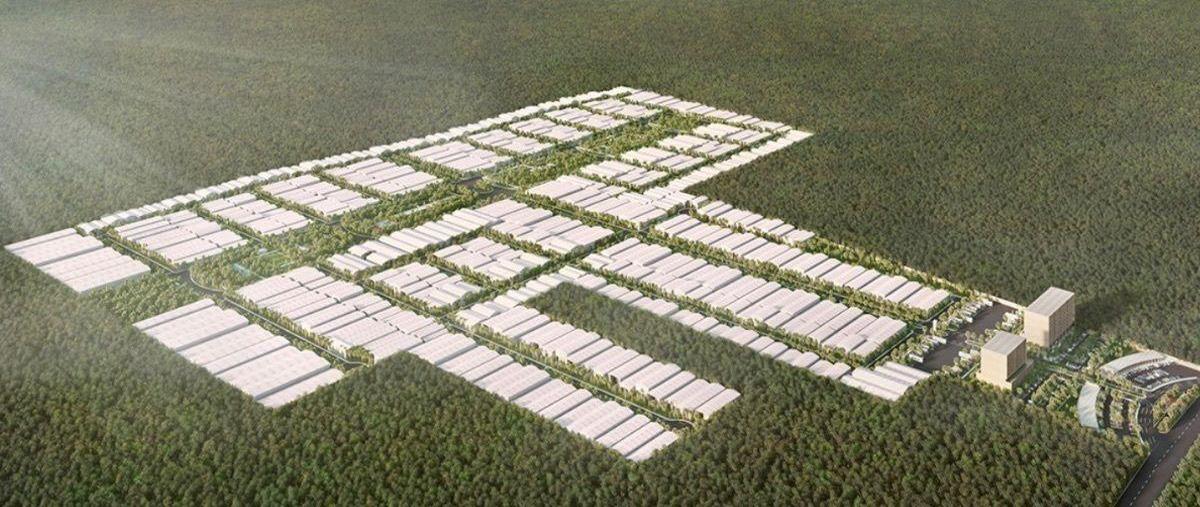 Foto de terreno habitacional en venta en  , centro hunucmá, hunucmá, yucatán, 0 No. 03
