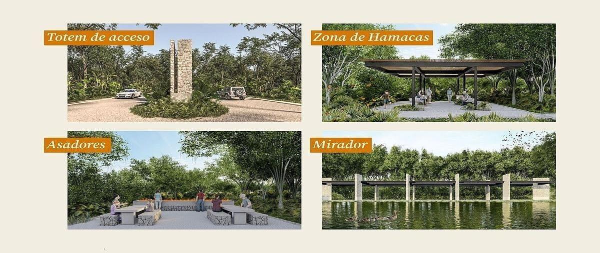 Foto de terreno habitacional en venta en  , centro hunucmá, hunucmá, yucatán, 0 No. 03