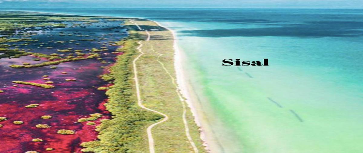 Foto de terreno habitacional en venta en  , centro hunucmá, hunucmá, yucatán, 30933428 No. 03