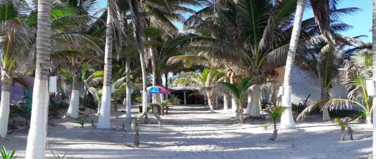 Foto de terreno habitacional en venta en  , centro hunucmá, hunucmá, yucatán, 30933428 No. 04