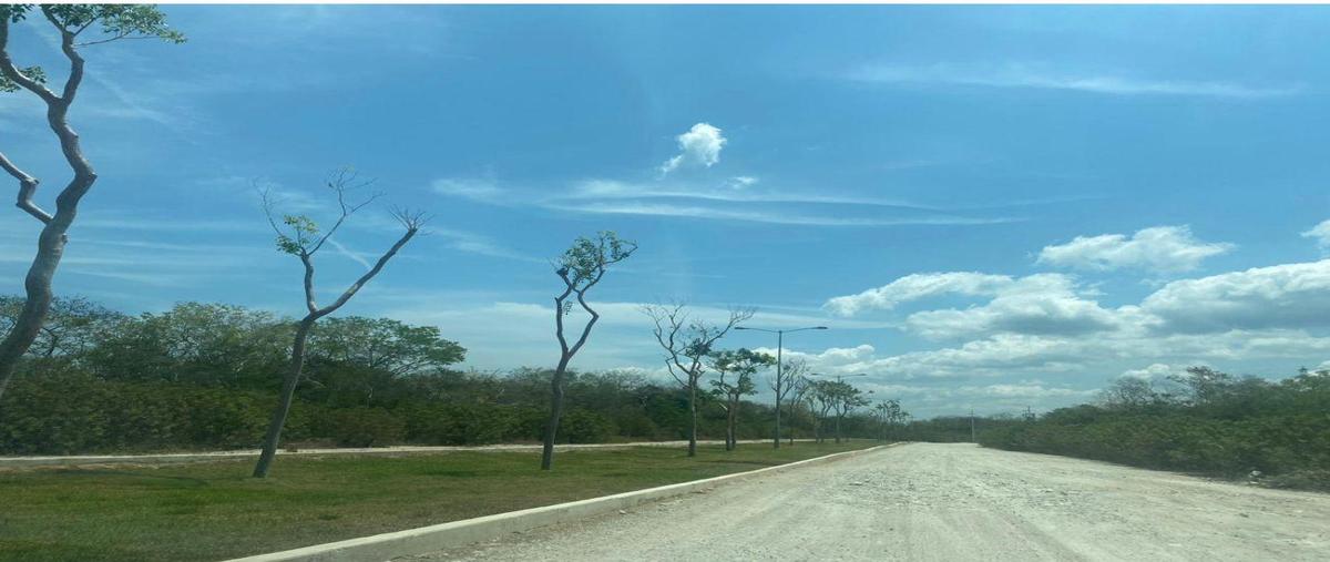 Foto de terreno habitacional en venta en  , centro hunucmá, hunucmá, yucatán, 0 No. 03