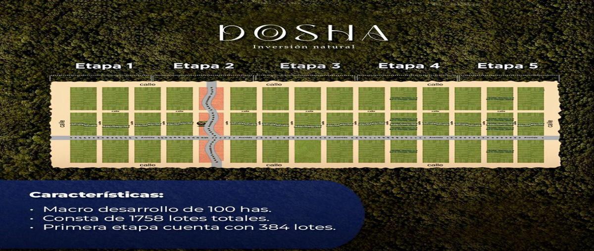Foto de terreno habitacional en venta en  , centro hunucmá, hunucmá, yucatán, 0 No. 05