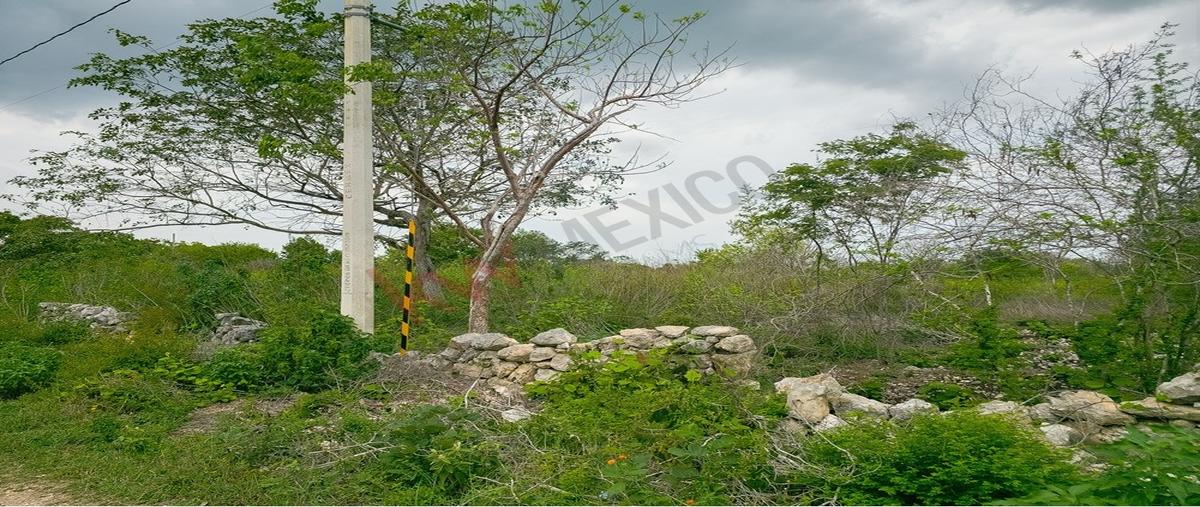 Foto de terreno habitacional en venta en  , centro hunucmá, hunucmá, yucatán, 0 No. 04