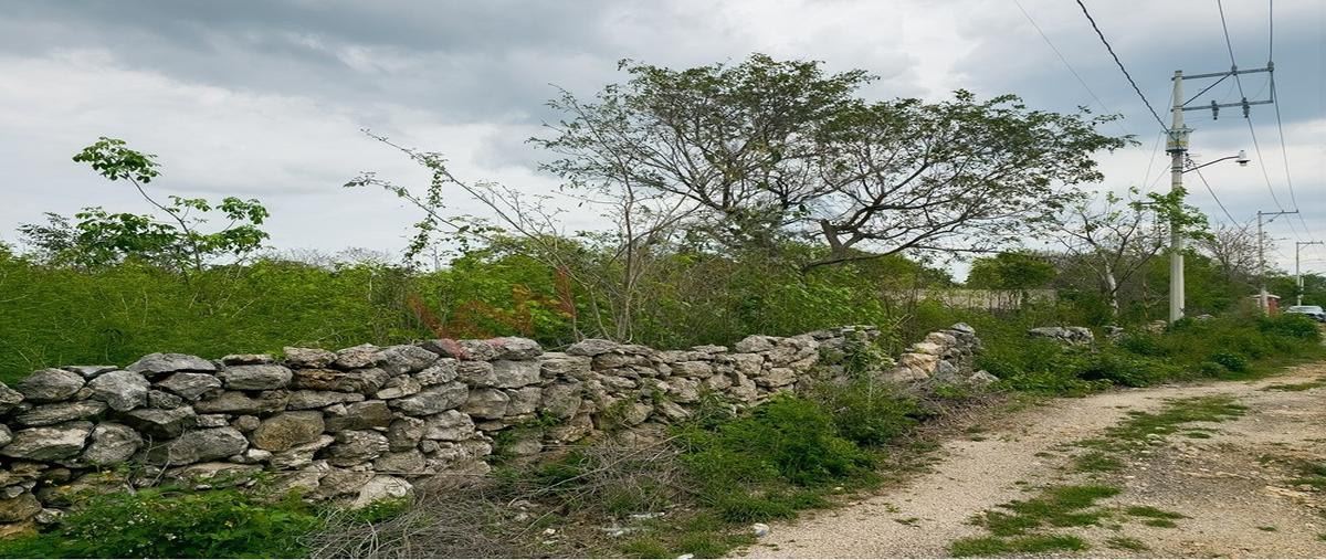 Foto de terreno habitacional en venta en  , centro hunucmá, hunucmá, yucatán, 0 No. 05