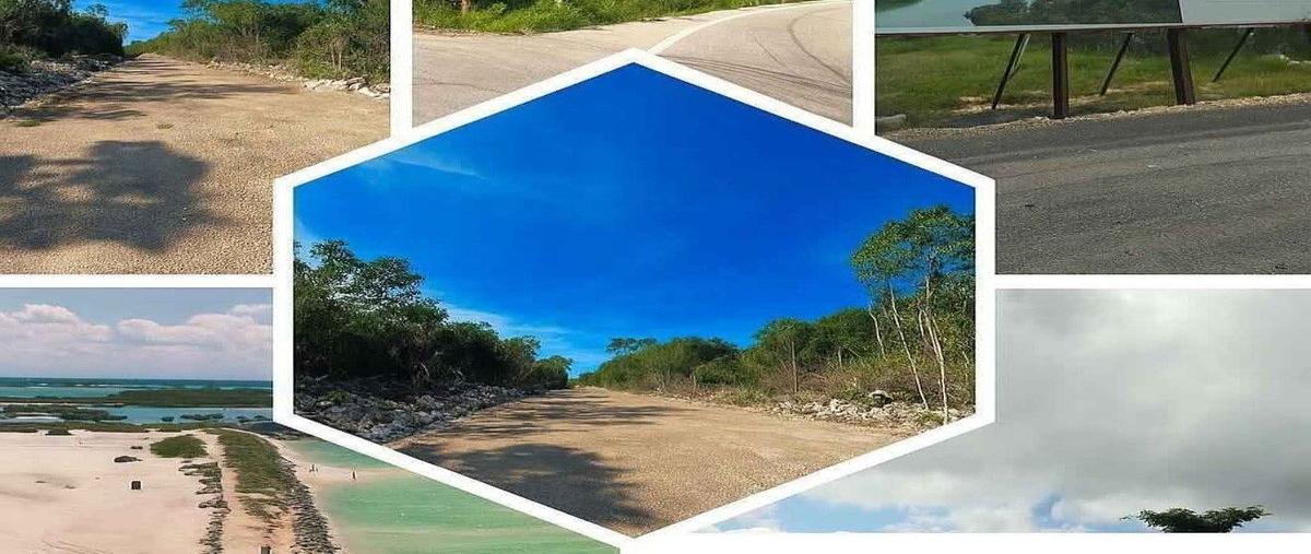 Foto de terreno habitacional en venta en  , centro hunucmá, hunucmá, yucatán, 0 No. 05