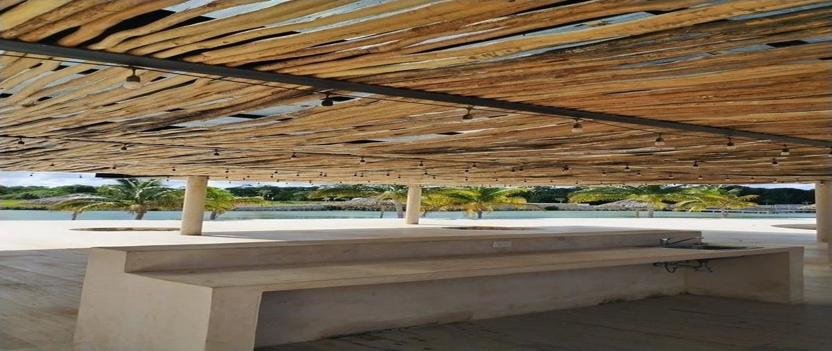 Foto de terreno habitacional en venta en  , centro hunucmá, hunucmá, yucatán, 0 No. 04