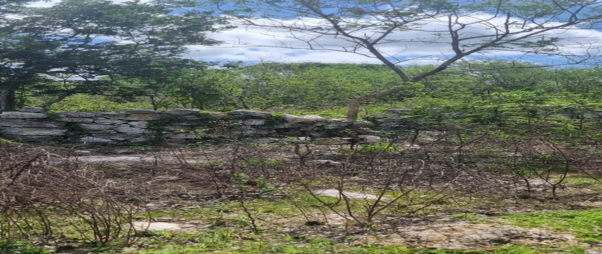 Foto de terreno habitacional en venta en centro hunucma whi310269, centro hunucmá, hunucmá, yucatán, 0 No. 03