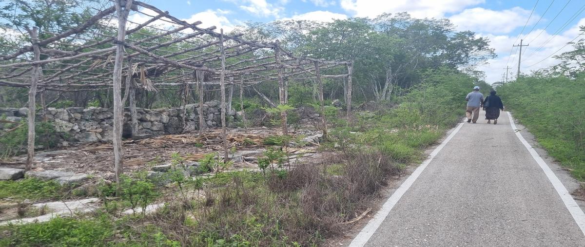 Foto de terreno habitacional en venta en centro hunucma whi310269, centro hunucmá, hunucmá, yucatán, 0 No. 05