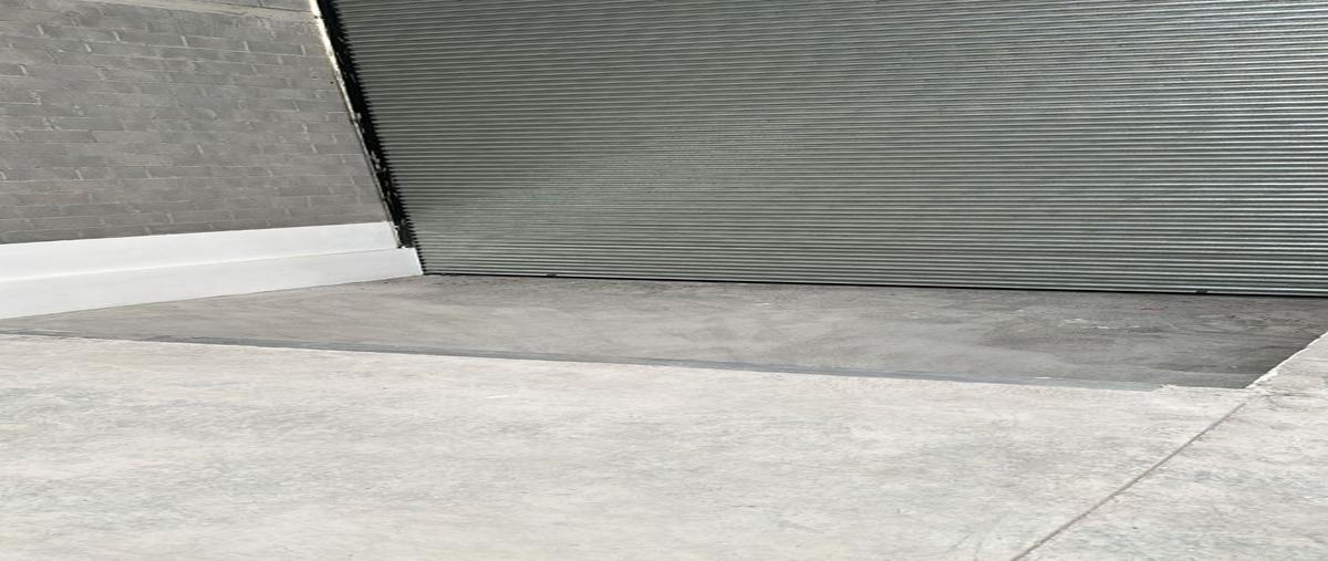 Foto de bodega en renta en centro , industrias del poniente, santa catarina, nuevo león, 27366958 No. 05