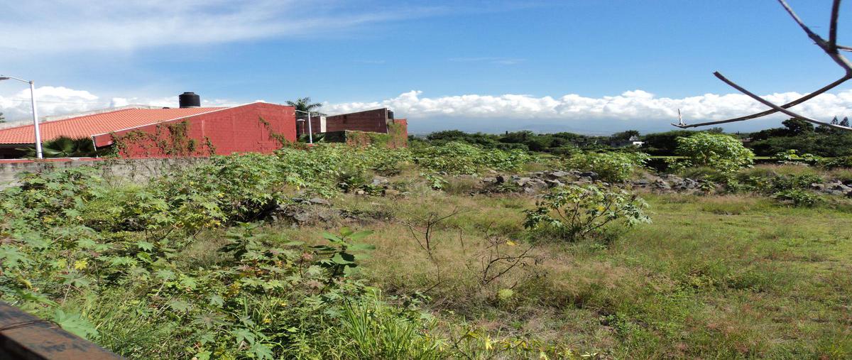 Foto de terreno habitacional en venta en  , centro jiutepec, jiutepec, morelos, 0 No. 03