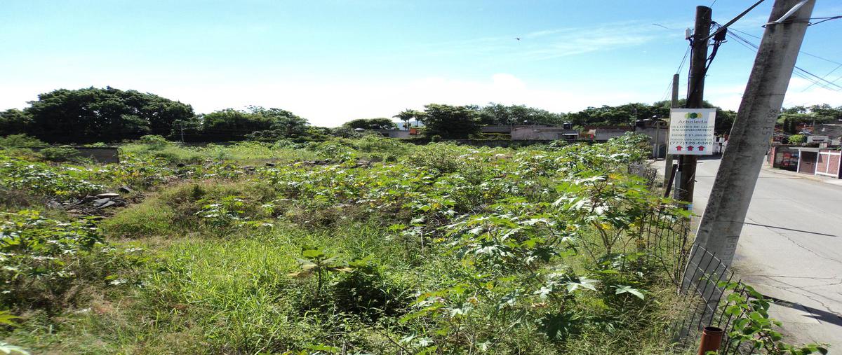Foto de terreno habitacional en venta en  , centro jiutepec, jiutepec, morelos, 0 No. 04