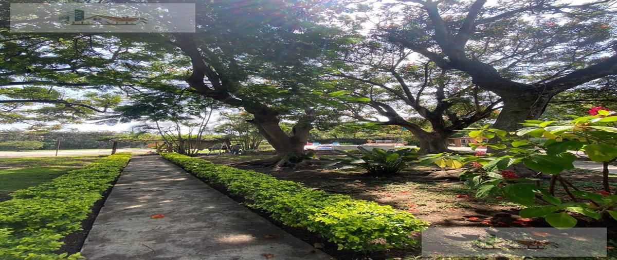 Foto de terreno habitacional en venta en  , centro jiutepec, jiutepec, morelos, 30932475 No. 05