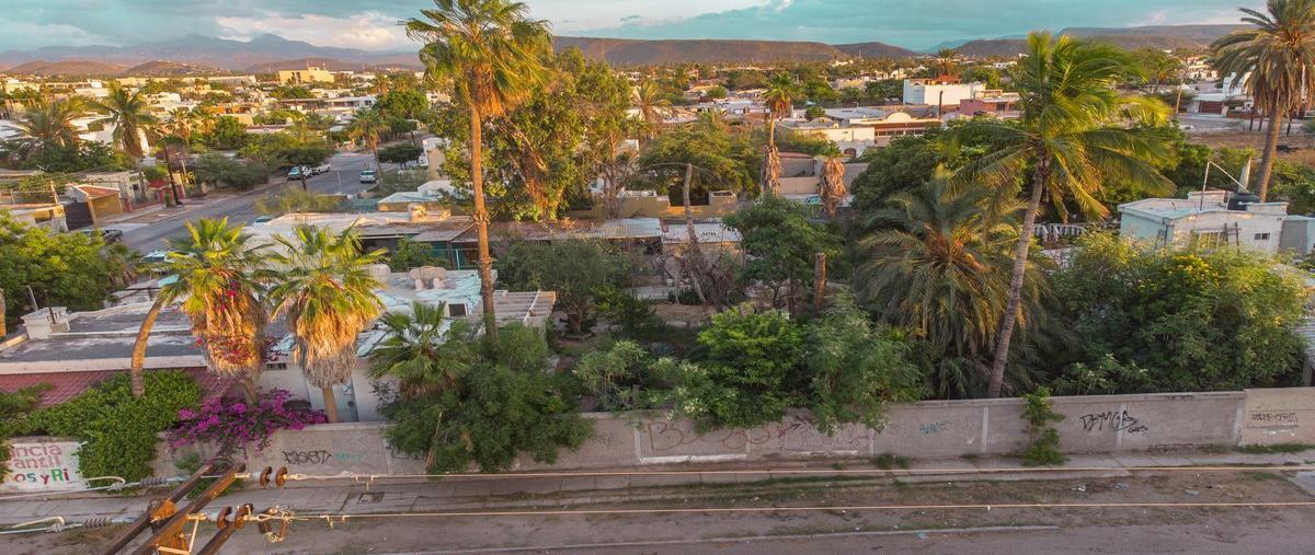 Foto de terreno habitacional en centro, la paz, baja california sur , centro, la paz, baja california sur, 0 foto 01 Foto de terreno habitacional en renta en centro, la paz, baja california sur , centro, la paz, baja california sur, 0 No. 01