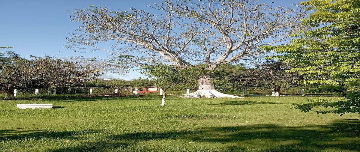 Foto de terreno habitacional en venta en centro , lagartera, centro, tabasco, 0 No. 04