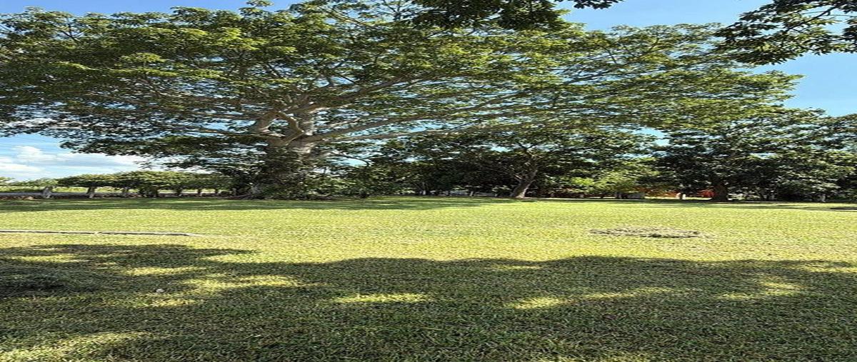 Foto de terreno habitacional en venta en centro , lagartera, centro, tabasco, 0 No. 05