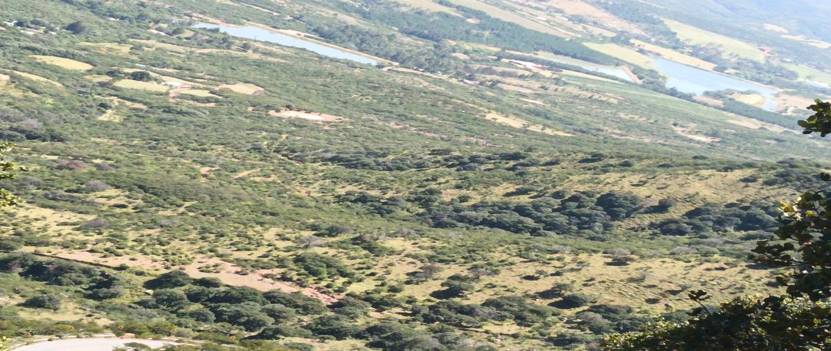 Foto de terreno habitacional en venta en  , centro, león, guanajuato, 0 No. 03