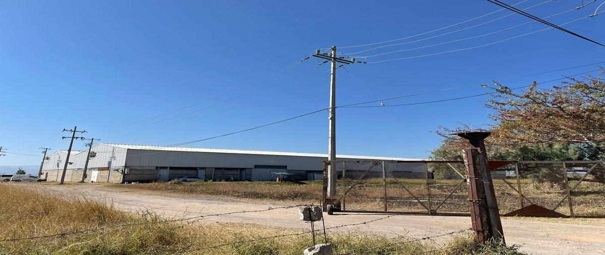 Foto de terreno industrial en venta en  , centro lógistico jalisco area industrial, acatlán de juárez, jalisco, 27404260 No. 03