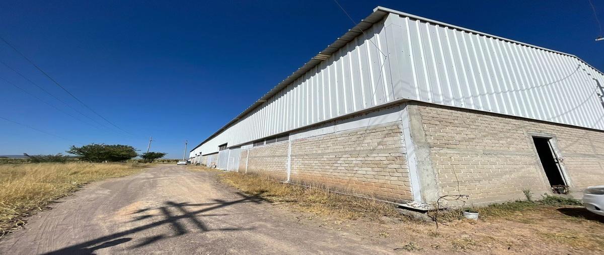 Foto de terreno industrial en venta en  , centro lógistico jalisco area industrial, acatlán de juárez, jalisco, 27404260 No. 04