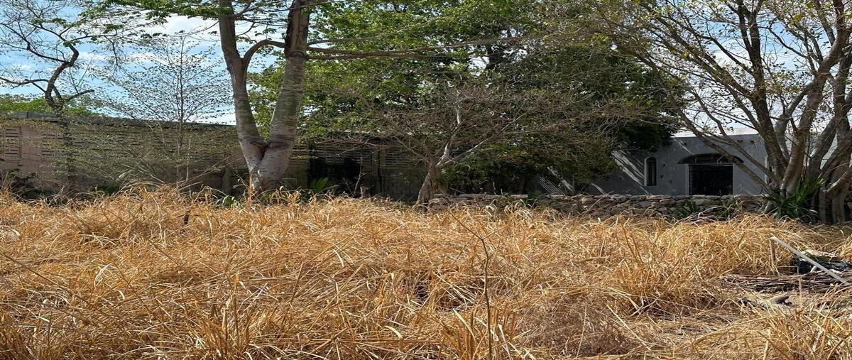 Foto de terreno habitacional en venta en centro , merida centro, mérida, yucatán, 28713748 No. 03