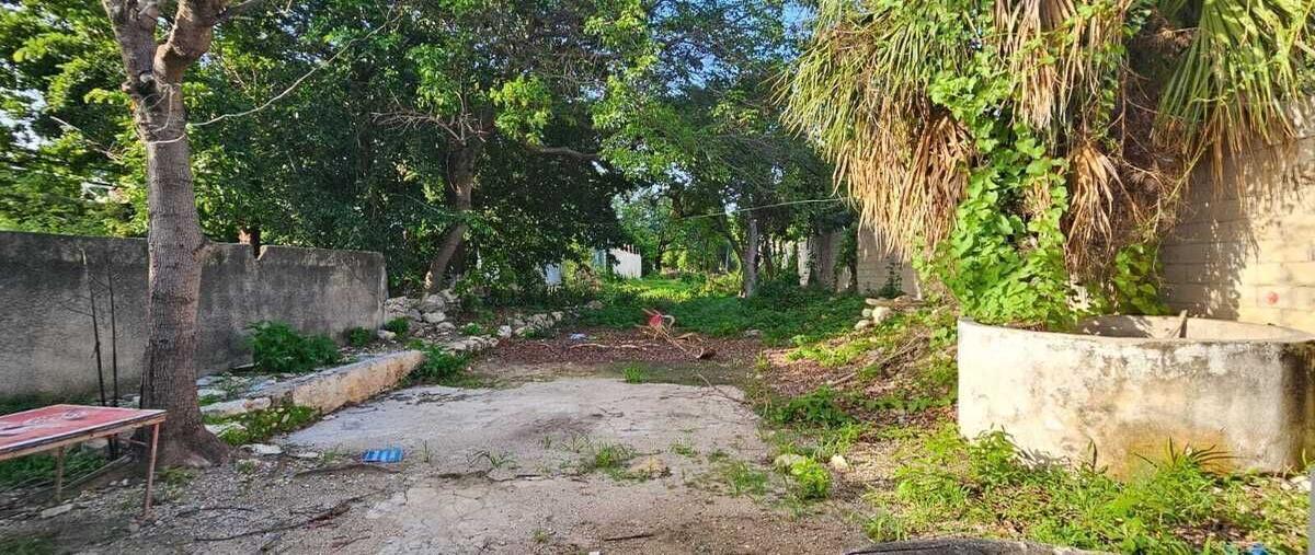 Foto de casa en venta en centro , merida centro, mérida, yucatán, 0 No. 06