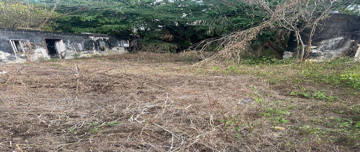 Foto de terreno habitacional en centro , merida centro, mérida, yucatán, 0 foto 07 Foto de terreno habitacional en venta en centro , merida centro, mérida, yucatán, 0 No. 07