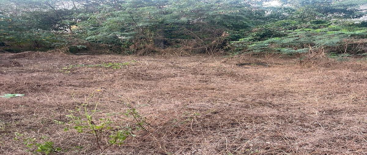 Foto de terreno habitacional en centro , merida centro, mérida, yucatán, 0 foto 08 Foto de terreno habitacional en venta en centro , merida centro, mérida, yucatán, 0 No. 08