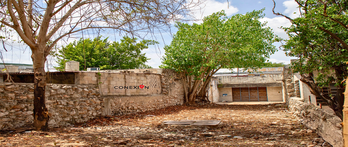 Foto de terreno habitacional en venta en centro , merida centro, mérida, yucatán, 0 No. 03