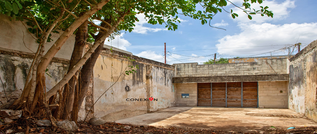 Foto de terreno habitacional en venta en centro , merida centro, mérida, yucatán, 0 No. 04