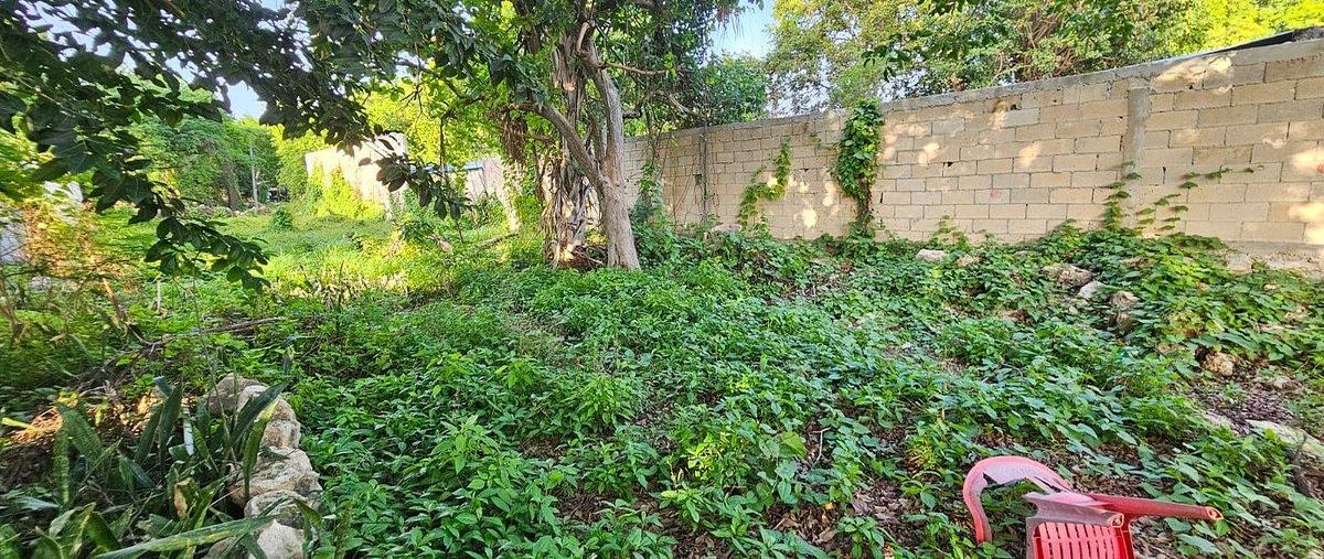 Foto de terreno habitacional en centro , merida centro, mérida, yucatán, 0 foto 07 Foto de terreno habitacional en venta en centro , merida centro, mérida, yucatán, 0 No. 07
