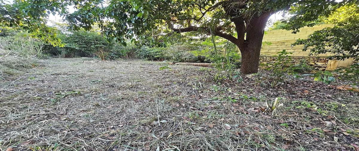 Foto de terreno habitacional en venta en centro , merida centro, mérida, yucatán, 0 No. 04