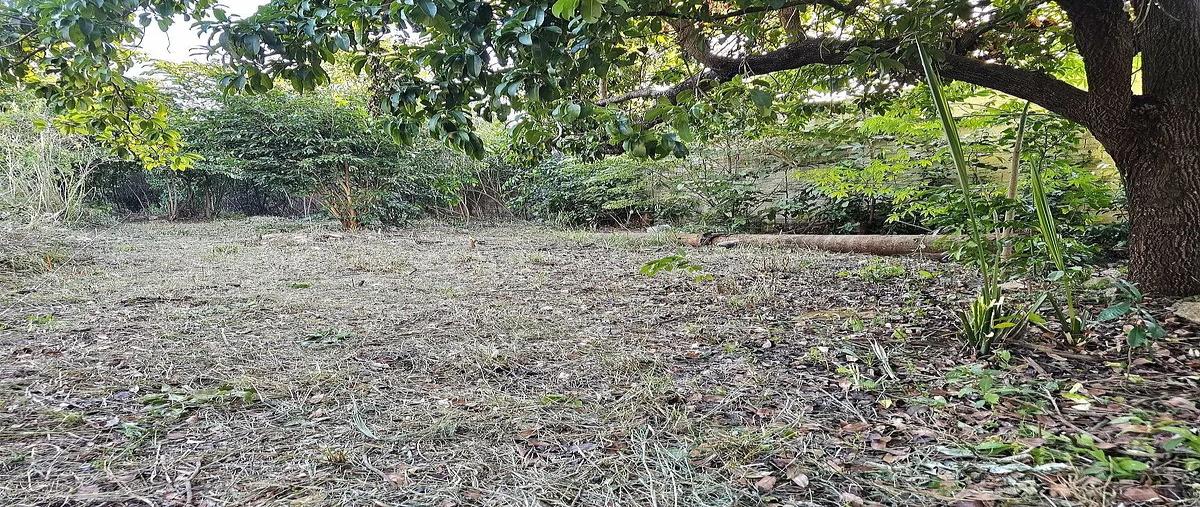 Foto de terreno habitacional en venta en centro , merida centro, mérida, yucatán, 0 No. 07