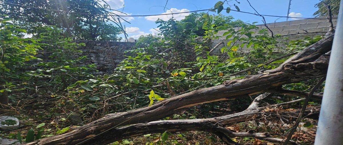 Foto de casa en venta en centro , merida centro, mérida, yucatán, 0 No. 06