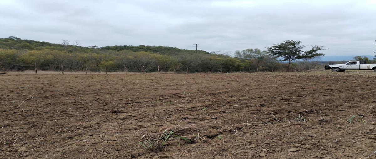 Foto de rancho en venta en centro , montemorelos centro, montemorelos, nuevo león, 0 No. 03