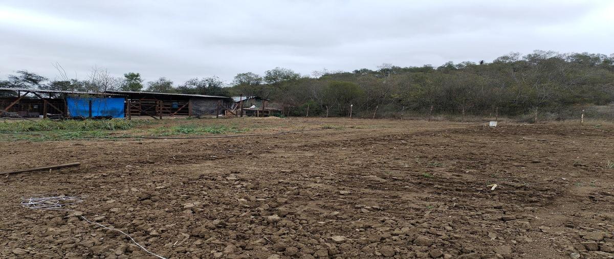 Foto de rancho en venta en centro , montemorelos centro, montemorelos, nuevo león, 0 No. 04