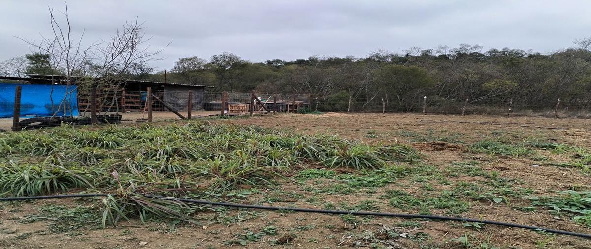 Foto de rancho en venta en centro , montemorelos centro, montemorelos, nuevo león, 0 No. 05