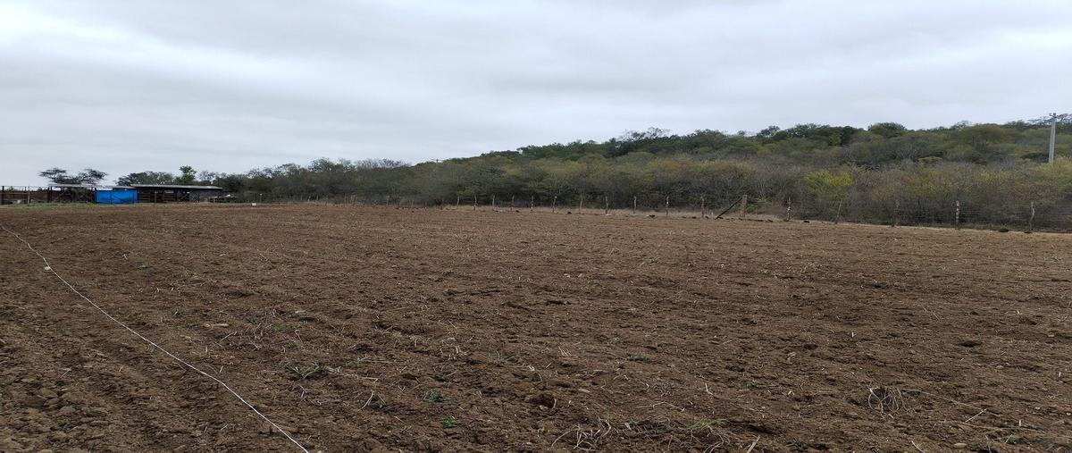 Foto de terreno habitacional en venta en centro , montemorelos centro, montemorelos, nuevo león, 0 No. 03