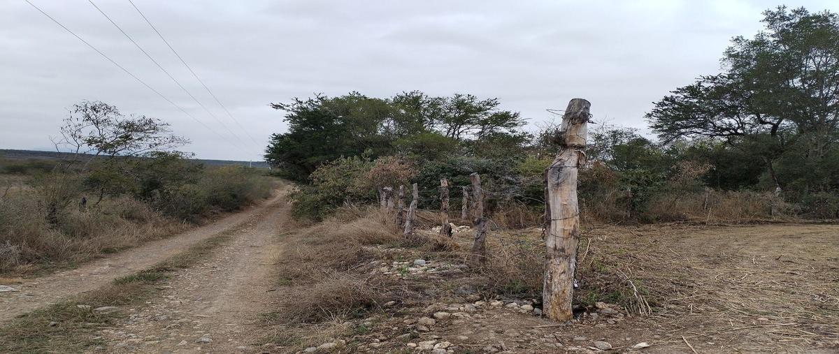 Foto de terreno habitacional en venta en centro , montemorelos centro, montemorelos, nuevo león, 0 No. 04