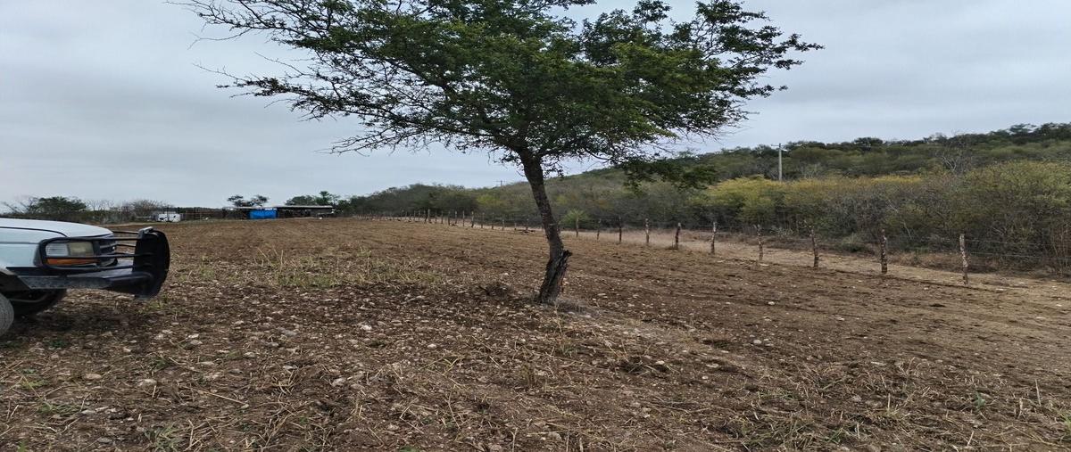 Foto de terreno habitacional en venta en centro , montemorelos centro, montemorelos, nuevo león, 0 No. 05