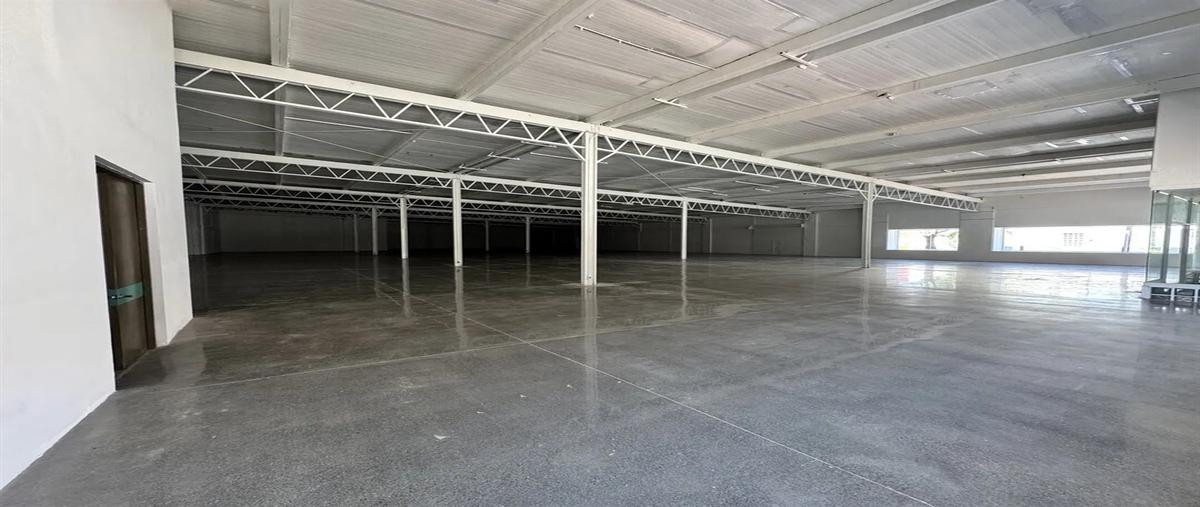 Foto de bodega en renta en  , centro, monterrey, nuevo león, 28984042 No. 05