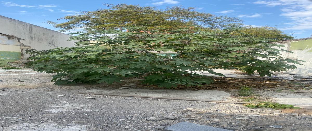 Foto de terreno habitacional en venta en  , centro, monterrey, nuevo león, 0 No. 04