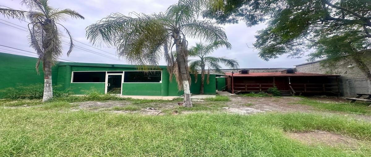 Foto de terreno habitacional en renta en  , centro, monterrey, nuevo león, 0 No. 03