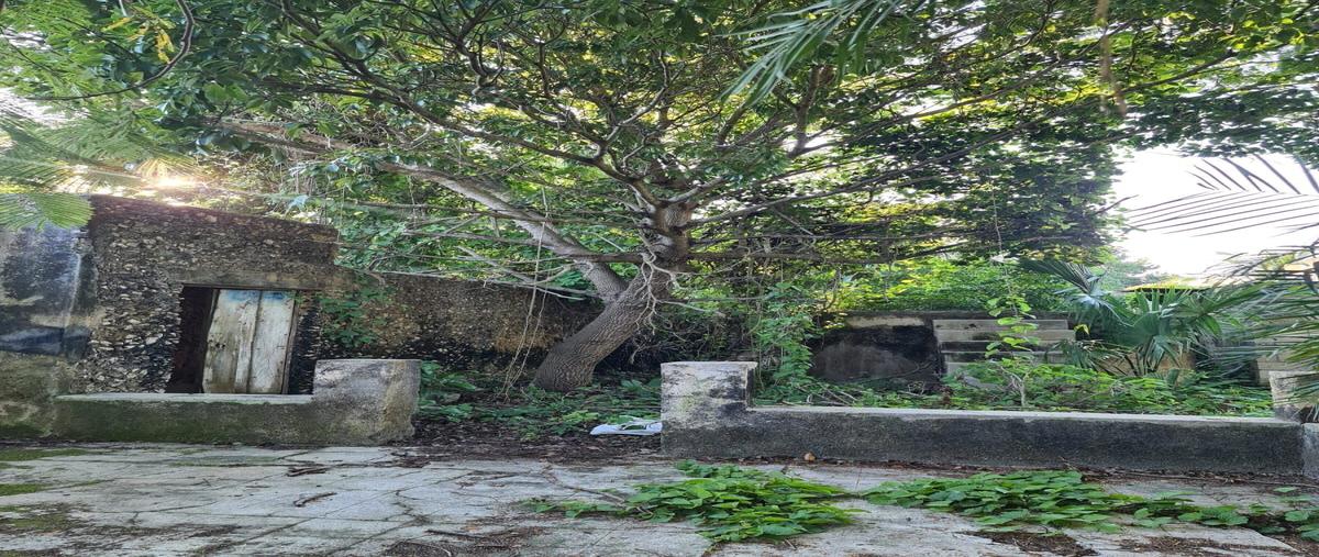 Foto de terreno habitacional en centro motul , motul de carrillo puerto centro, motul, yucatán, 0 foto 04 Foto de terreno habitacional en venta en centro motul , motul de carrillo puerto centro, motul, yucatán, 0 No. 04