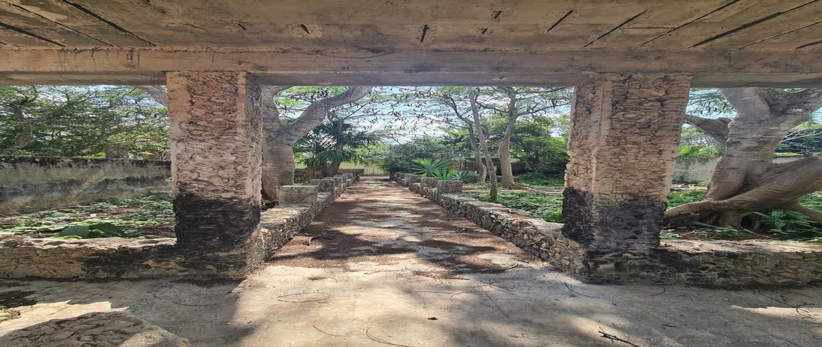 Foto de terreno habitacional en centro motul , motul de carrillo puerto centro, motul, yucatán, 0 foto 05 Foto de terreno habitacional en venta en centro motul , motul de carrillo puerto centro, motul, yucatán, 0 No. 05