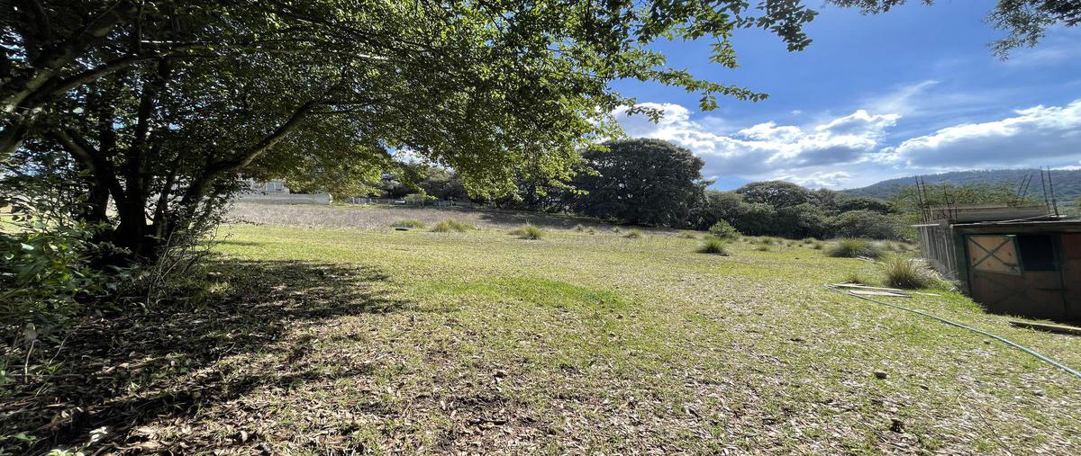 Foto de terreno habitacional en venta en  , centro ocoyoacac, ocoyoacac, méxico, 0 No. 05