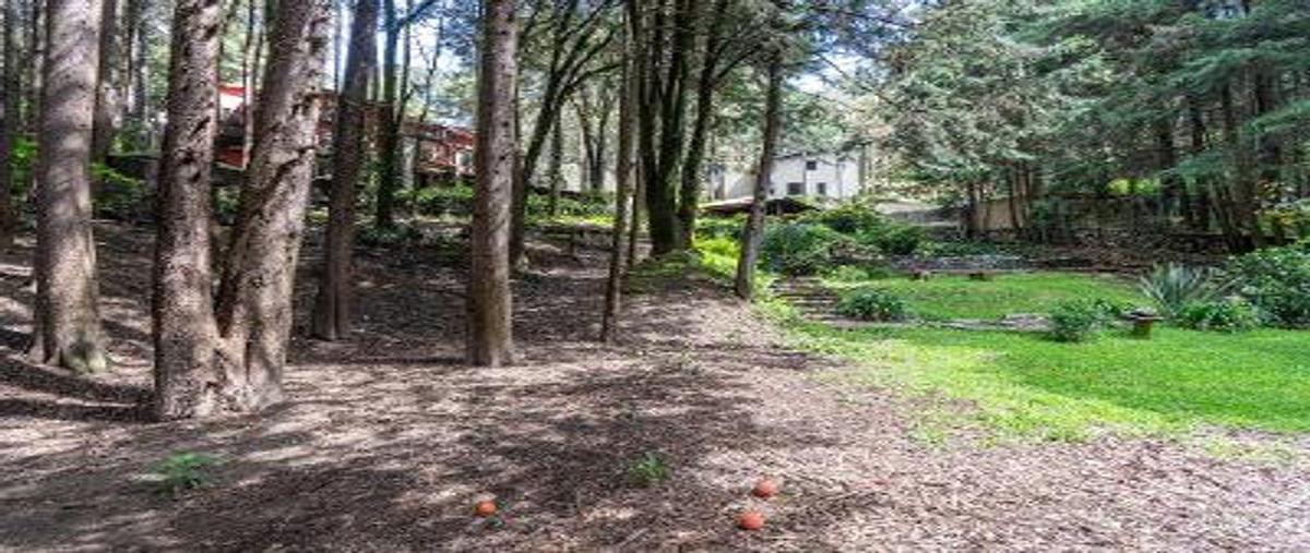 Foto de terreno habitacional en venta en  , centro ocoyoacac, ocoyoacac, méxico, 0 No. 04