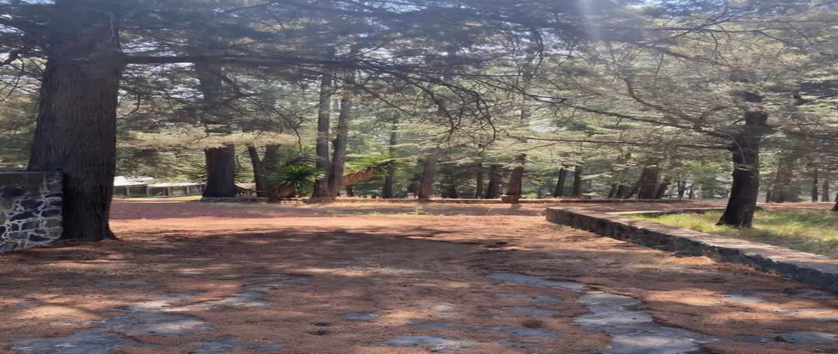 Foto de terreno habitacional en venta en  , centro ocoyoacac, ocoyoacac, méxico, 0 No. 04