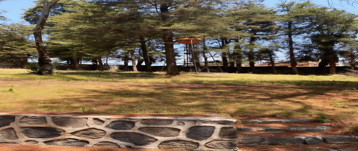 Foto de terreno habitacional en venta en  , centro ocoyoacac, ocoyoacac, méxico, 0 No. 05