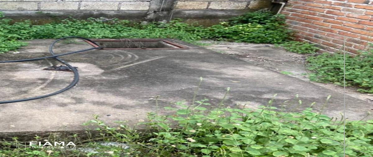 Foto de bodega en renta en  , centro, ruíz, nayarit, 23164689 No. 04